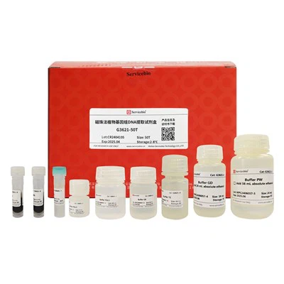 Kit de extracție a ADN genomic al plantelor MagBind